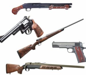 Top 10 Must-Have Guns for Your Collection